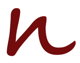 NaidSystems Logo